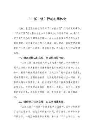 “三抓三促”行动心得体会三篇.docx