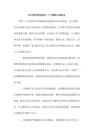乡镇派出所青年辅警学习宣传贯彻党的二十大精神个人心得体会.docx