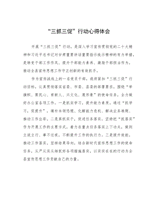 三抓三促行动心得体会.docx