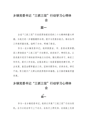 乡镇党委书记“三抓三促”行动学习心得体会四篇.docx