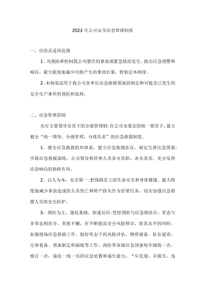 2023年公司安全应急管理制度.docx