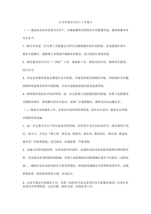 公司年度安全生产工作要点.docx
