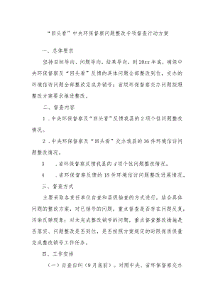 “回头看”中央环保督察问题整改专项督查行动方案.docx