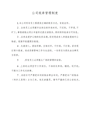 公司规章管理制度.docx