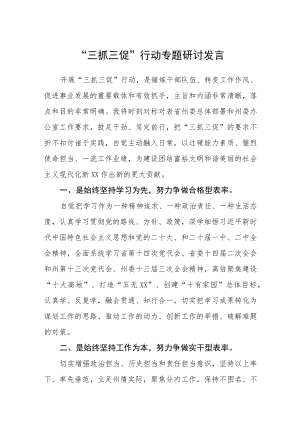 “三抓三促”行动专题研讨发言三篇例文.docx