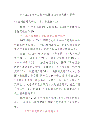 XX公司2022年度单位团组织负责人述职报告.docx