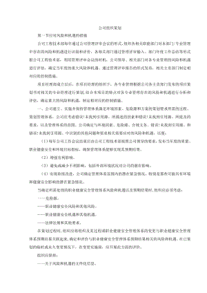公司组织策划.docx