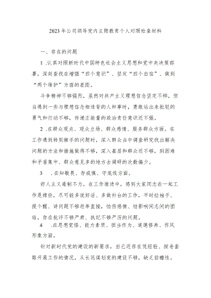 2023年公司领导党内主题教育个人对照检查材料.docx