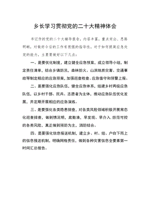 乡长学习贯彻党的二十大精神体会.docx