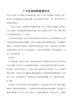 7月豆角种植管理技术.docx
