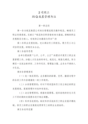 公司员工职业发展管理办法.docx