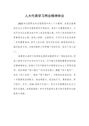 人大代表学习两会精神体会.docx