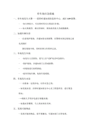 停车场应急措施.docx