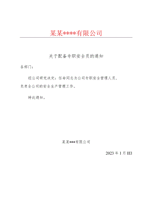 关于安全管理人员的任命书（填写人名）.docx