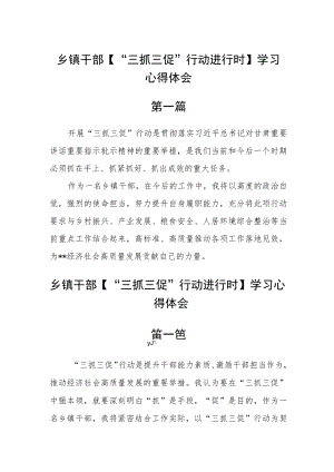 乡镇干部【“三抓三促”行动进行时】学习心得体会六篇.docx