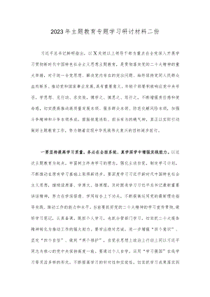 2023年主题教育专题学习研讨材料二份.docx