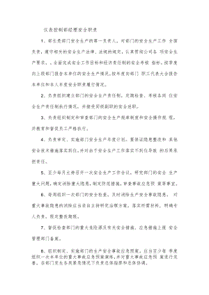 仪表控制部经理安全职责.docx