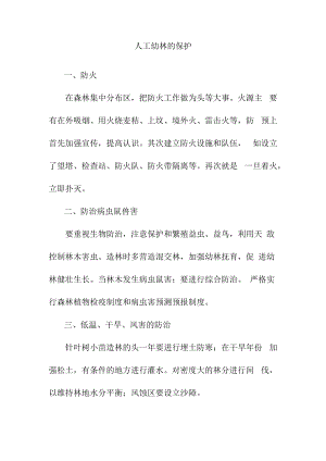 人工幼林的保护.docx