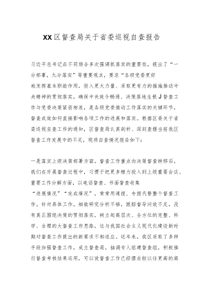 XX区督查局关于省委巡视自查报告.docx