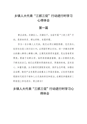 乡镇人大代表“三抓三促”行动进行时学习心得体会六篇.docx