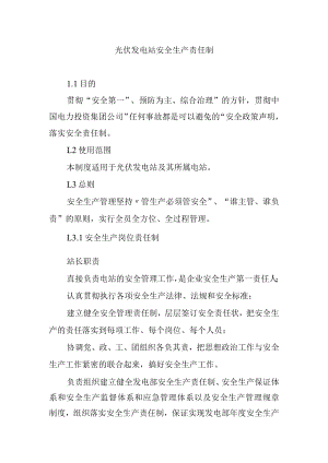 光伏发电站安全生产责任制.docx