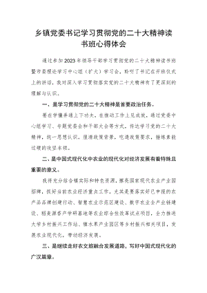 乡镇党委书记学习贯彻党的二十大精神读书班心得体会.docx