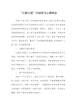 三抓三促心得体会.docx