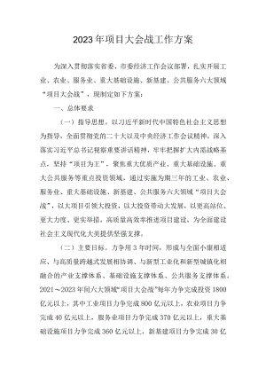 2023年项目大会战工作方案.docx