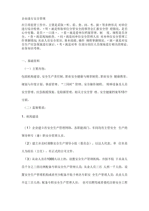 企业进行安全管理.docx