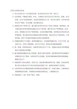 主管安全领导安全责任制.docx