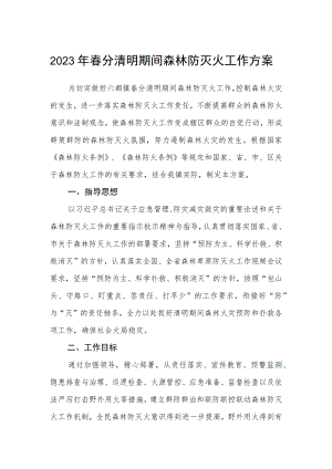2023年春分清明期间森林防灭火工作方案.docx
