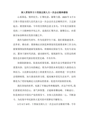 乡镇党委书记深入贯彻学习十四届全国人大一次会议心得体会感悟（4份）.docx