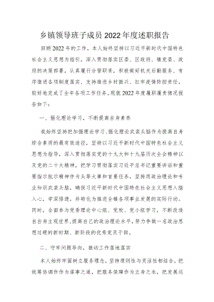 乡镇领导班子成员2022年度述职报告.docx