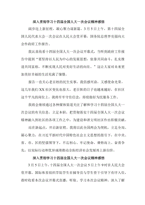 交警支队大队长深入贯彻学习十四届全国人大一次会议心得体会感悟（精编4份）.docx