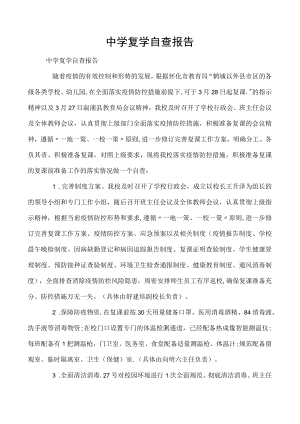 中学复学自查报告.docx