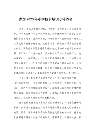 参加2023年小学校长培训心得体会6篇.docx