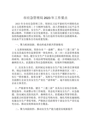 市应急管理局2023年工作要点.docx