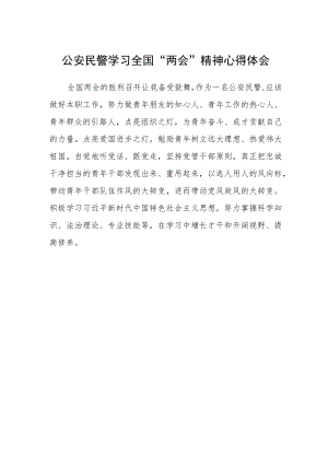 公安民警学习全国“两会”精神心得体会.docx