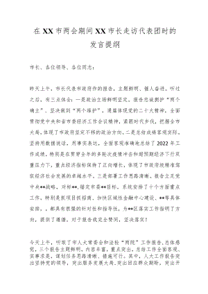 在XX市两会期间XX市长走访代表团时的发言提纲范文.docx