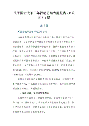关于国企改革三年行动总结专题报告（X公司）5篇.docx