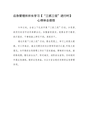 应急管理所所长学习【“三抓三促”进行时】心得体会感悟.docx
