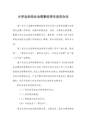 大学治安综合治理事故责任追究办法.docx