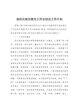县防灾减灾救灾工作总结及工作计划.docx