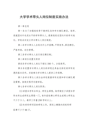 大学学术带头人岗位制度实施办法.docx