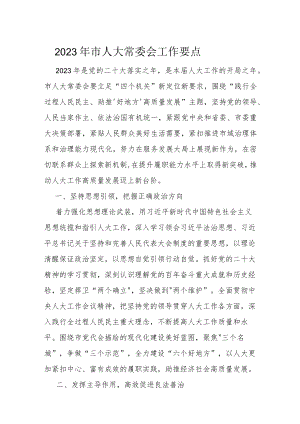 2023年市人大常委会工作要点.docx
