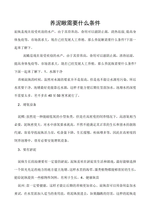 养泥鳅需要什么条件.docx
