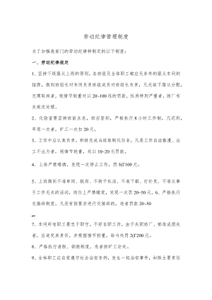 劳动纪律管理制度.docx