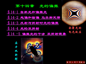 大学物理光的偏振.ppt