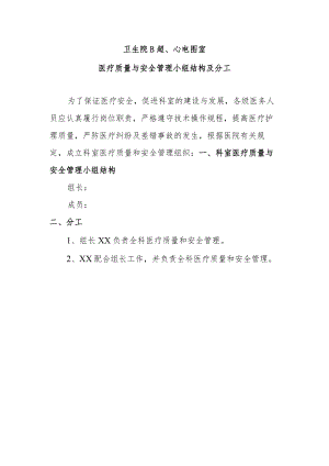 医疗质量与安全管理小组.docx