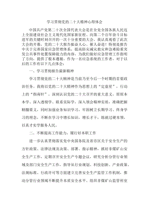 应急管理局执法大队党员干部《学习贯彻党的二十大精神》心得体会.docx
